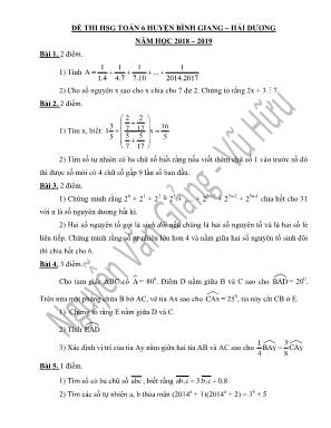 Đề thi học sinh giỏi môn Toán Lớp 6 - Năm học 2018-2019 - Huyện Bình Giang (Có đáp án)